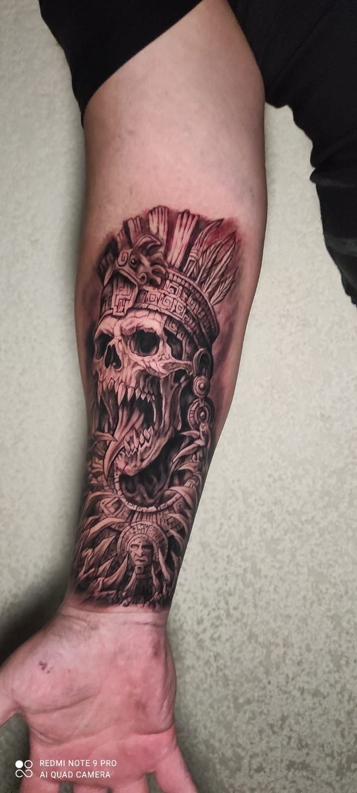 Omar Camacho — Portafolio